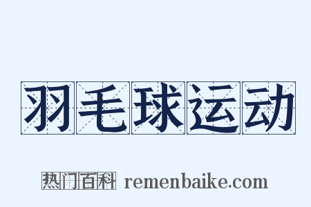 羽毛球运动是什么意思的图片